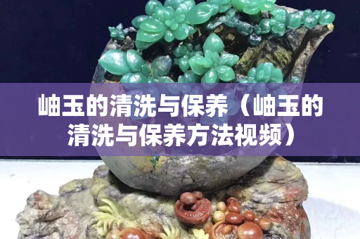 岫玉的清洗與保養（岫玉的清洗與保養方法視頻）