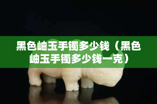 黑色岫玉手鐲多少錢（黑色岫玉手鐲多少錢一克）