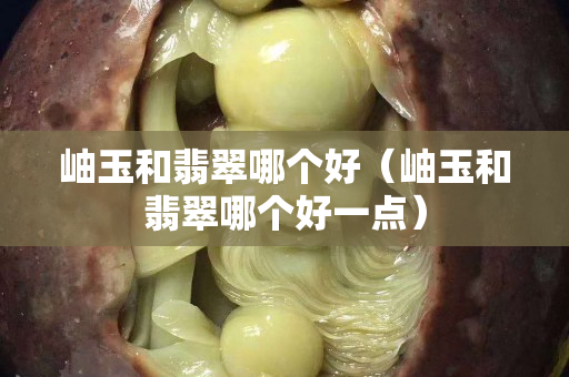 岫玉和翡翠哪個好（岫玉和翡翠哪個好一點）