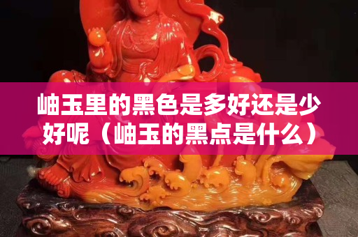 岫玉里的黑色是多好還是少好呢（岫玉的黑點(diǎn)是什么）