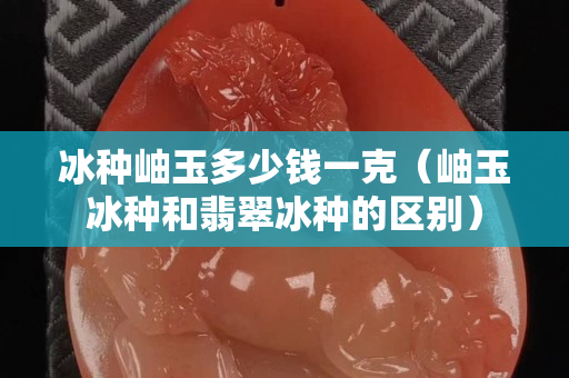 冰種岫玉多少錢一克（岫玉冰種和翡翠冰種的區(qū)別）
