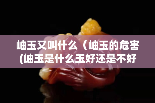 岫玉又叫什么（岫玉的危害(岫玉是什么玉好還是不好)）