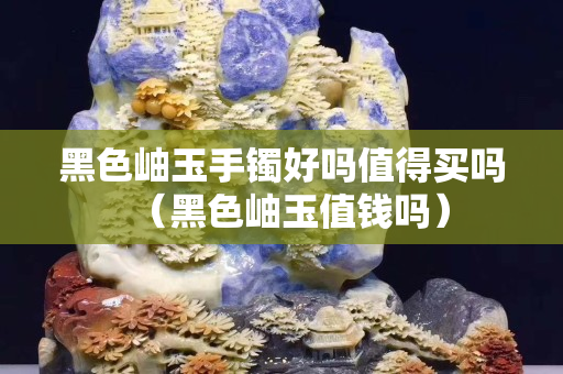 黑色岫玉手鐲好嗎值得買嗎（黑色岫玉值錢嗎）