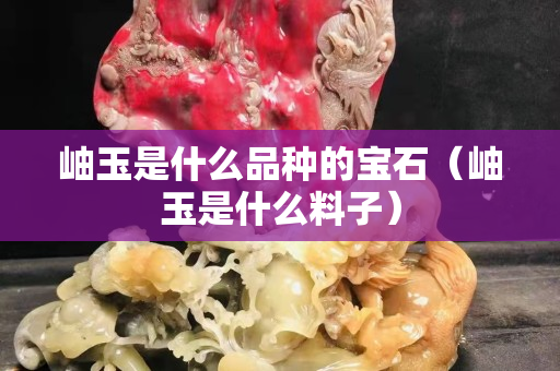 岫玉是什么品種的寶石（岫玉是什么料子）