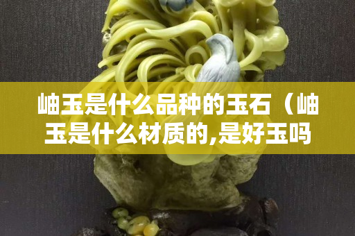 岫玉是什么品種的玉石（岫玉是什么材質的,是好玉嗎？）