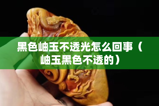 黑色岫玉不透光怎么回事（岫玉黑色不透的）