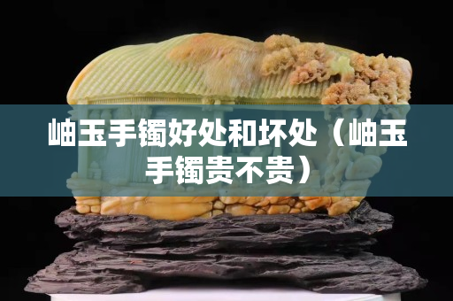 岫玉手鐲好處和壞處（岫玉手鐲貴不貴）