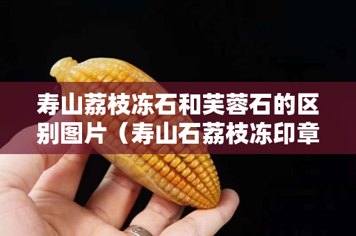 壽山荔枝凍石和芙蓉石的區別圖片（壽山石荔枝凍印章精品價格）