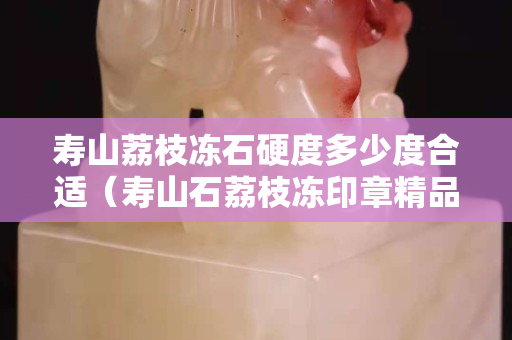 壽山荔枝凍石硬度多少度合適（壽山石荔枝凍印章精品價格）