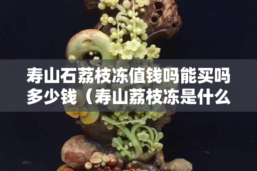 壽山石荔枝凍值錢嗎能買嗎多少錢（壽山荔枝凍是什么料）
