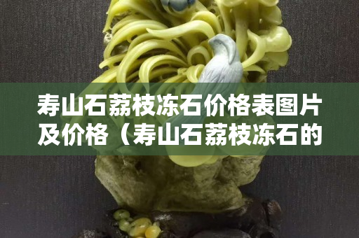 壽山石荔枝凍石價(jià)格表圖片及價(jià)格（壽山石荔枝凍石的特征）