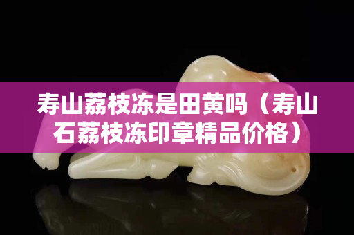 壽山荔枝凍是田黃嗎（壽山石荔枝凍印章精品價格）