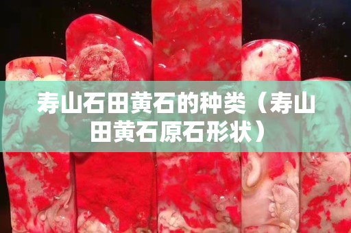 壽山石田黃石的種類（壽山田黃石原石形狀）