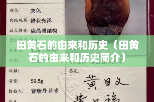 田黃石的由來和歷史（田黃石的由來和歷史簡介）