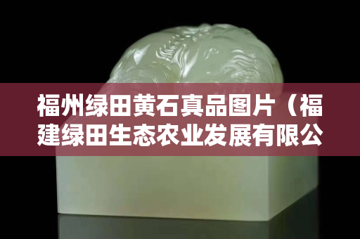 福州綠田黃石真品圖片（福建綠田生態農業發展有限公司）
