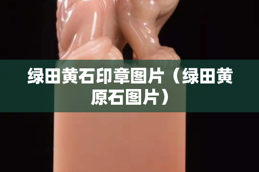 綠田黃石印章圖片（綠田黃原石圖片）