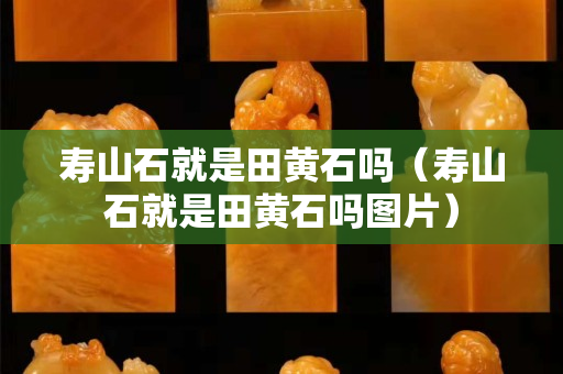 壽山石就是田黃石嗎（壽山石就是田黃石嗎圖片）