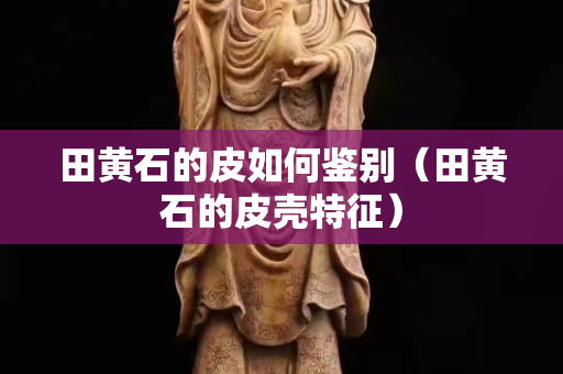 田黃石的皮如何鑒別（田黃石的皮殼特征）
