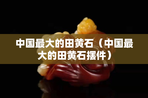 中國最大的田黃石（中國最大的田黃石擺件）