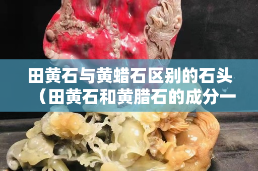田黃石與黃蠟石區(qū)別的石頭（田黃石和黃臘石的成分一樣嗎）