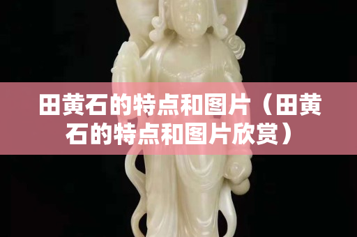 田黃石的特點和圖片（田黃石的特點和圖片欣賞）