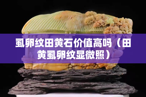 虱卵紋田黃石價值高嗎（田黃虱卵紋顯微照）