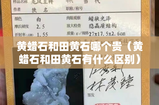 黃蠟石和田黃石哪個貴（黃蠟石和田黃石有什么區別）