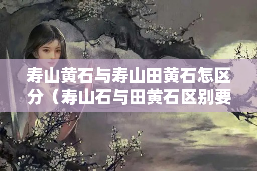 壽山黃石與壽山田黃石怎區(qū)分（壽山石與田黃石區(qū)別要點(diǎn)及圖片）