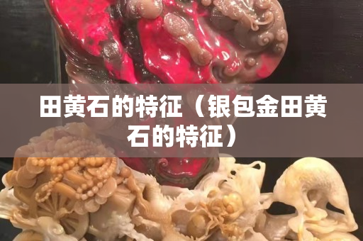 田黃石的特征（銀包金田黃石的特征）