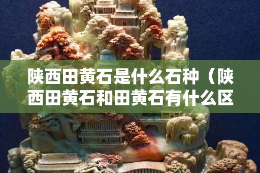 陜西田黃石是什么石種（陜西田黃石和田黃石有什么區別）