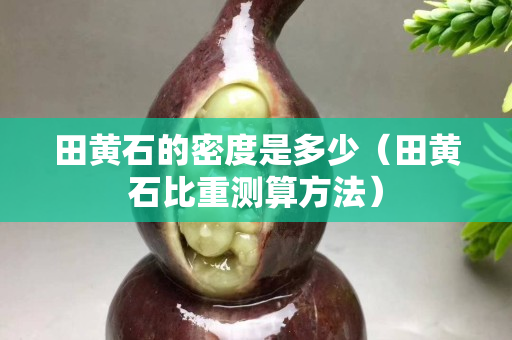 田黃石的密度是多少（田黃石比重測算方法）