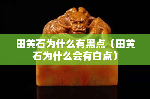 田黃石為什么有黑點（田黃石為什么會有白點）