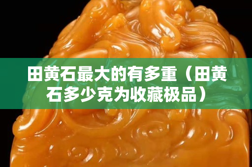 田黃石最大的有多重（田黃石多少克為收藏極品）