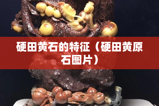 硬田黃石的特征（硬田黃原石圖片）