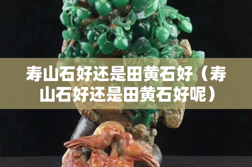 壽山石好還是田黃石好（壽山石好還是田黃石好呢）