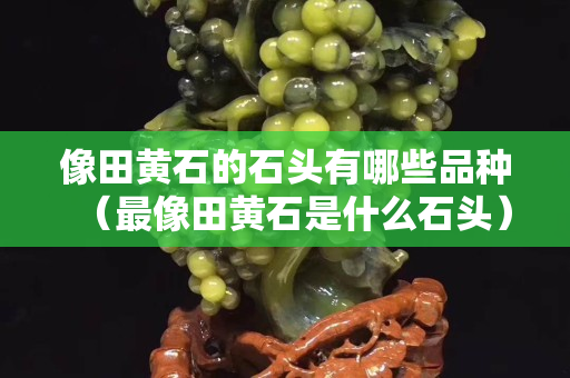 像田黃石的石頭有哪些品種（最像田黃石是什么石頭）