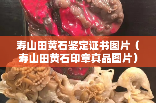 壽山田黃石鑒定證書圖片（壽山田黃石印章真品圖片）