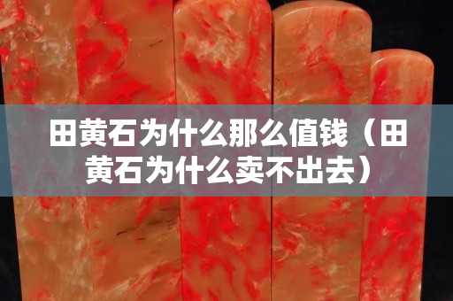 田黃石為什么那么值錢（田黃石為什么賣不出去）