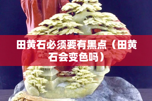 田黃石必須要有黑點（田黃石會變色嗎）