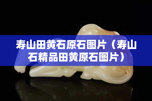 壽山田黃石原石圖片（壽山石精品田黃原石圖片）