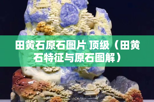 田黃石原石圖片 頂級（田黃石特征與原石圖解）