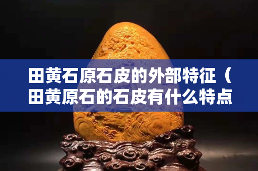 田黃石原石皮的外部特征（田黃原石的石皮有什么特點）