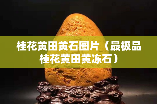桂花黃田黃石圖片（最極品桂花黃田黃凍石）