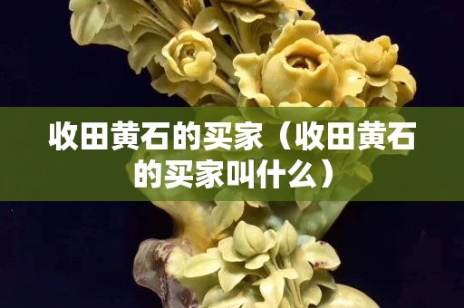 收田黃石的買家（收田黃石的買家叫什么）