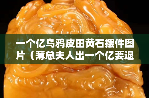 一個億烏鴉皮田黃石擺件圖片（薄總夫人出一個億要退婚）