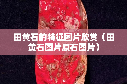 田黃石的特征圖片欣賞（田黃石圖片原石圖片）