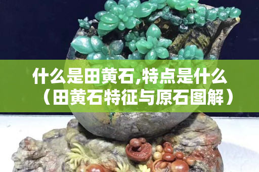 什么是田黃石,特點是什么（田黃石特征與原石圖解）
