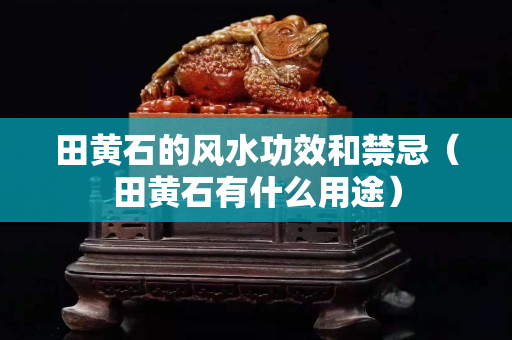 田黃石的風水功效和禁忌（田黃石有什么用途）