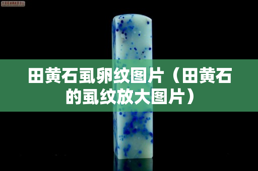 田黃石虱卵紋圖片（田黃石的虱紋放大圖片）