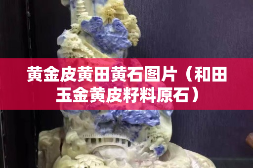 黃金皮黃田黃石圖片（和田玉金黃皮籽料原石）